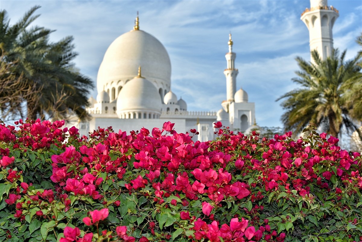 La symbolique des fleurs