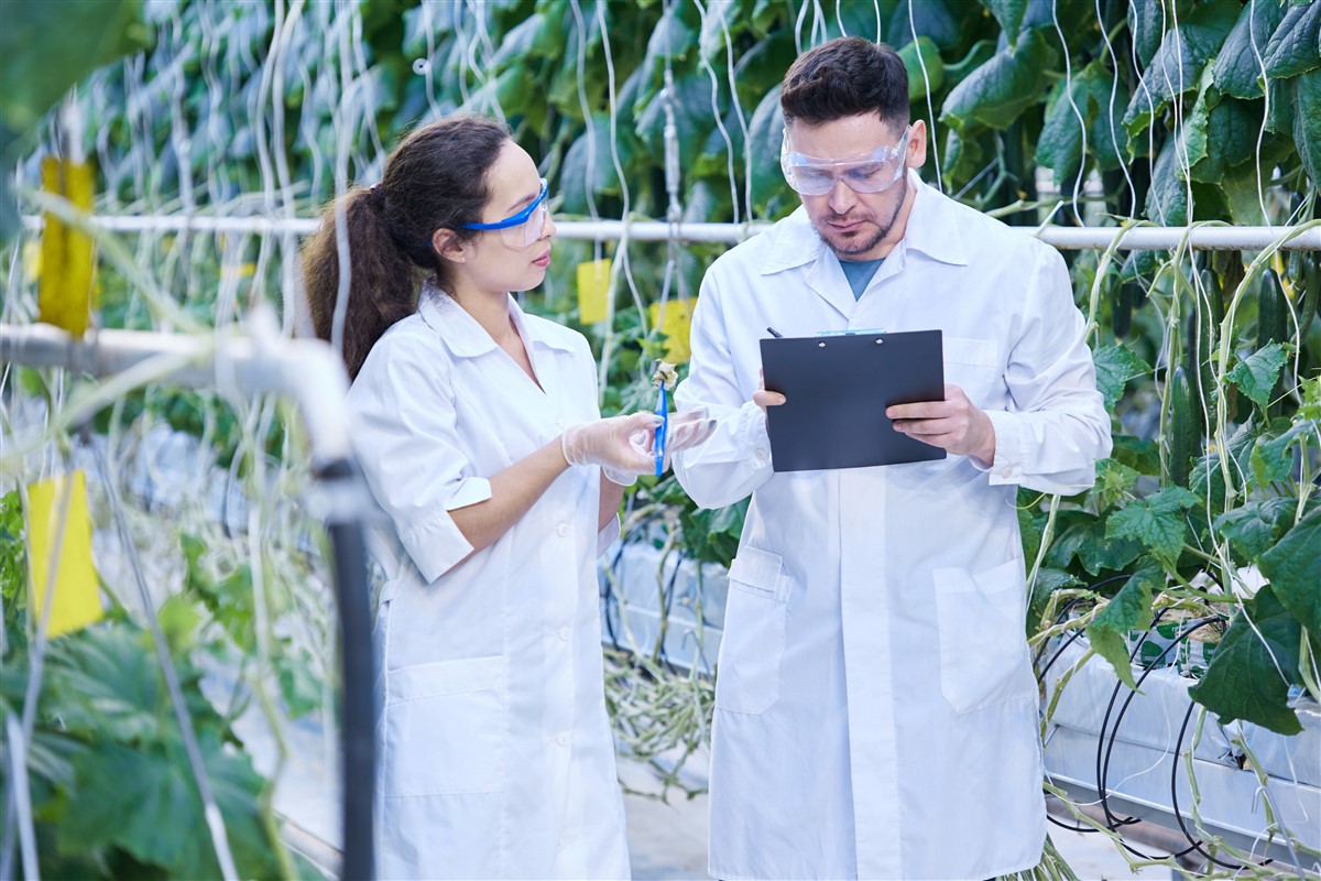 assistance technique en élevage agricole