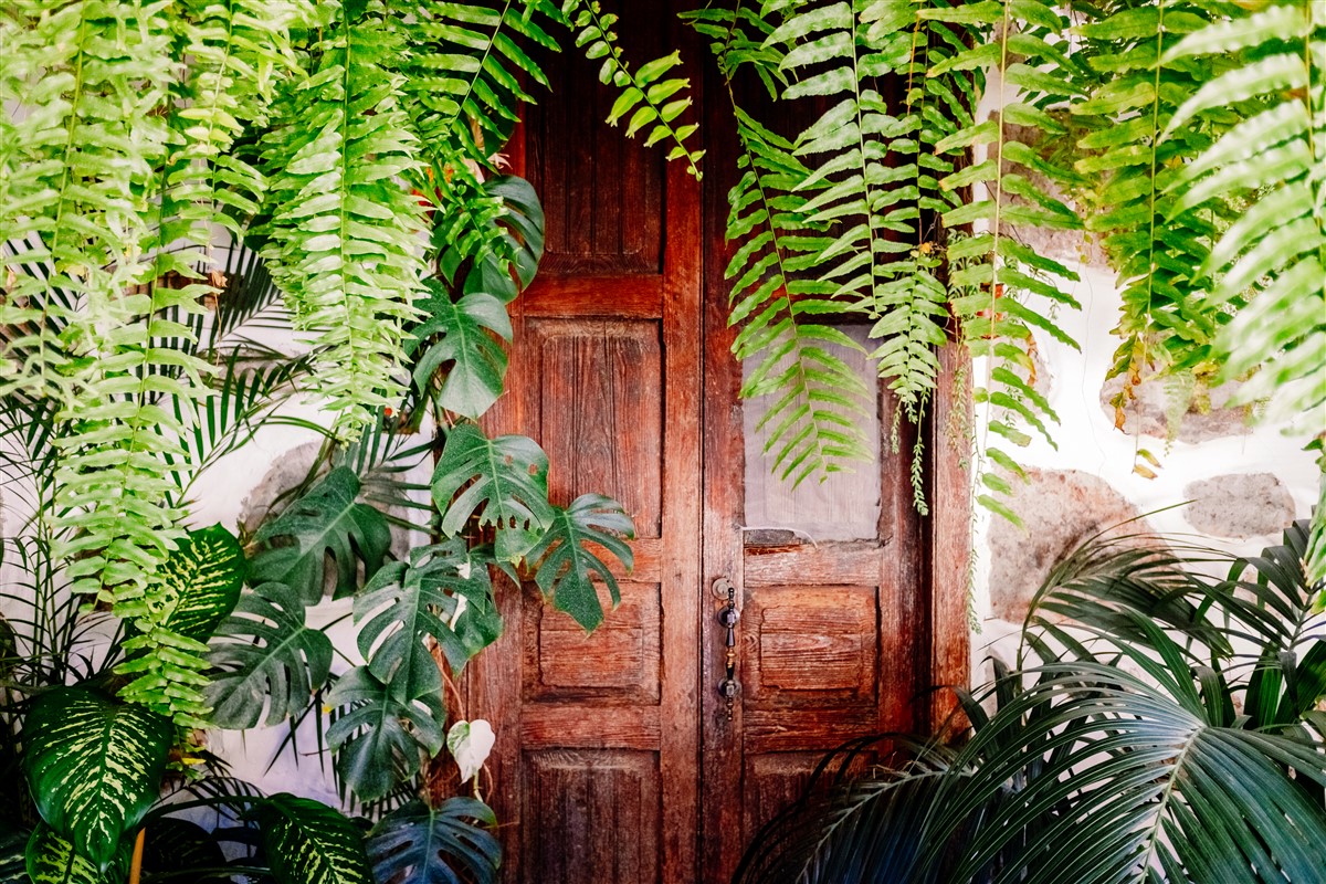 entrée de maison avec un petit jardin